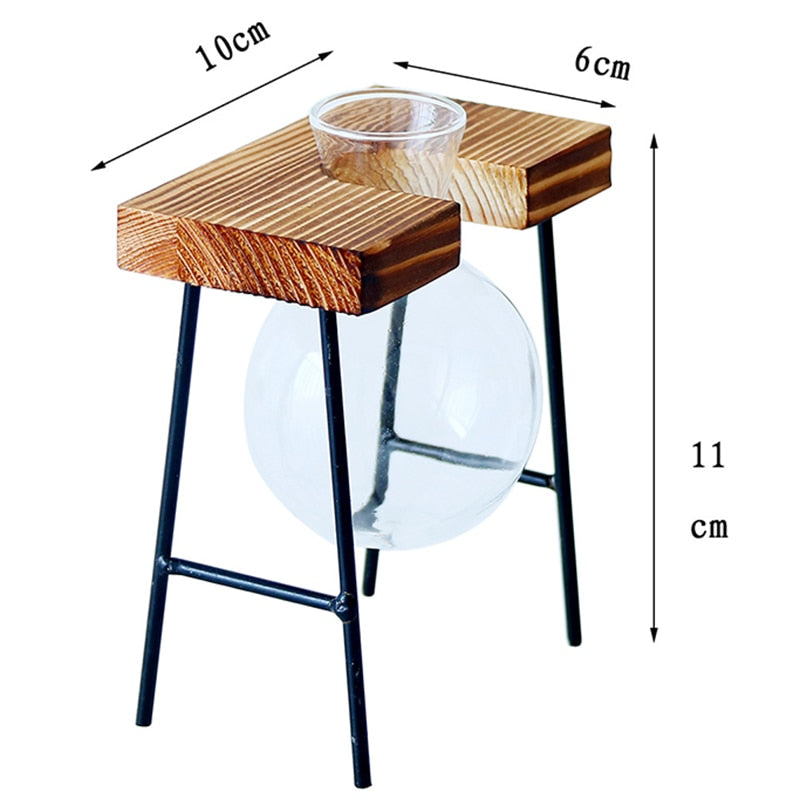 Hydroponic Plant Transparent Vase Wooden Frame