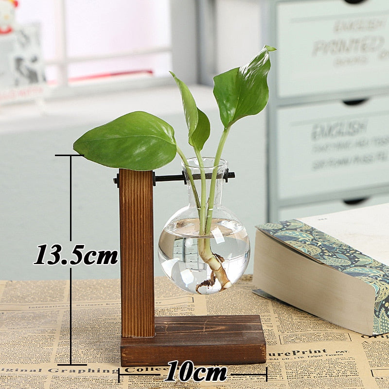 Hydroponic Plant Transparent Vase Wooden Frame