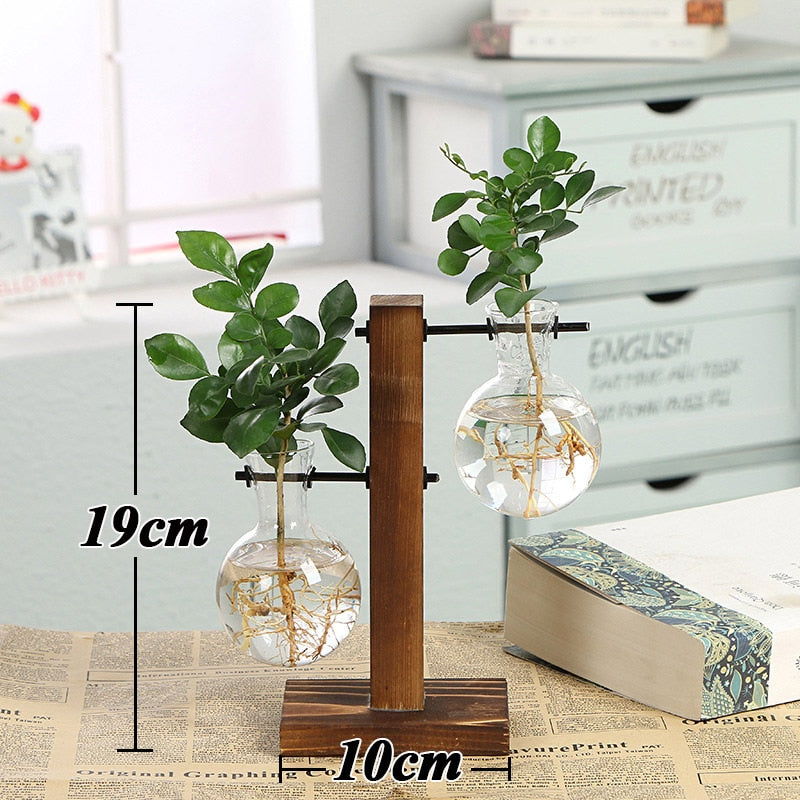 Hydroponic Plant Transparent Vase Wooden Frame