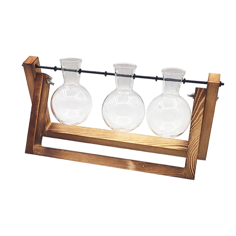 Hydroponic Plant Transparent Vase Wooden Frame