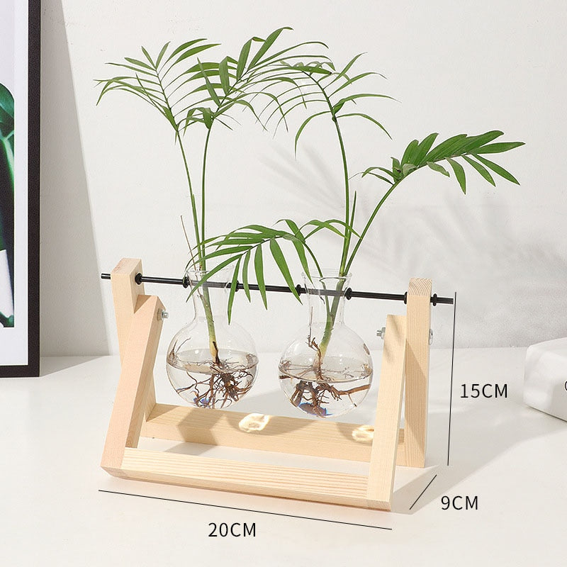 Hydroponic Plant Transparent Vase Wooden Frame