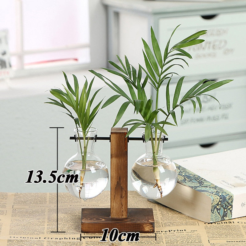 Hydroponic Plant Transparent Vase Wooden Frame