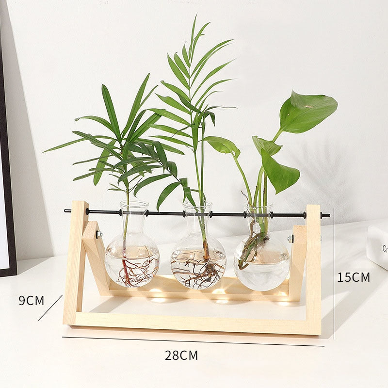 Hydroponic Plant Transparent Vase Wooden Frame